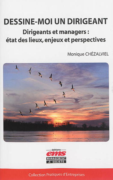 Dessine-moi un dirigeant : dirigeants et managers : état des lieux, enjeux et perspectives