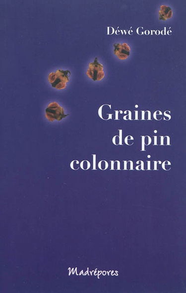 Graines de pin colonnaire