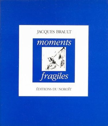 Couverture de Moments fragiles