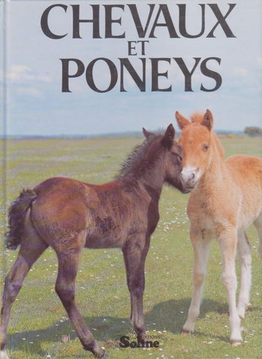 Chevaux et poneys