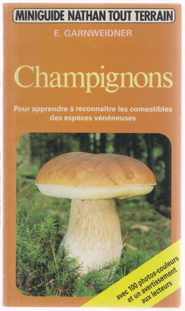 Champignons : comment déterminer correctement champignons comestibles et champignons vénéneux
