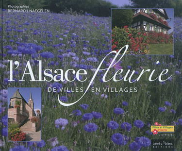 L'Alsace fleurie : de villes en villages