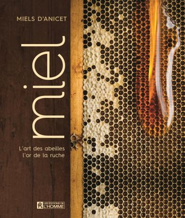 Couverture de Miel : l'art des abeilles, l'or de la ruche