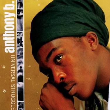 Couverture de Universal Struggle