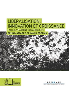 Libéralisation, innovation et croissance : faut-il vraiment les associer ?