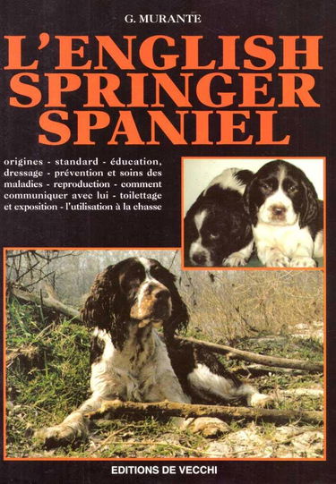 L'English Springer Spaniel