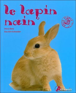 Le lapin nain