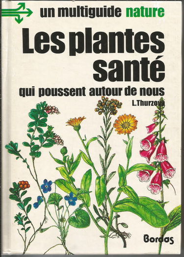 Les Plantes santé qui poussent autour de nous