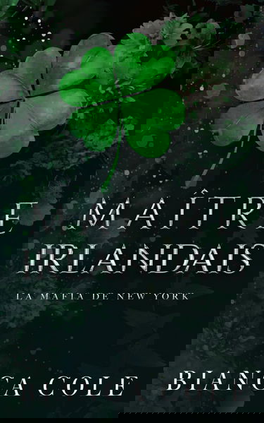 Maître Irlandais: Une Sombre Mafia Romance