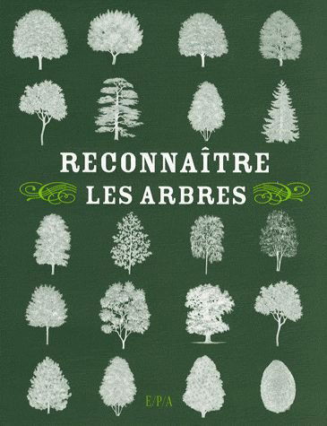 J'apprends à connaître les arbres (6-8 a.)