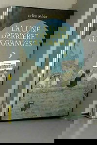 La lune derrière les granges