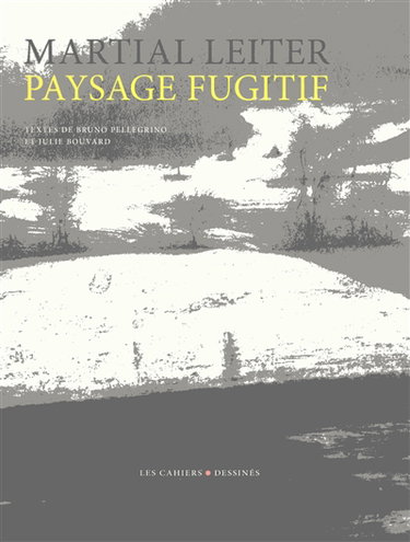 Paysage fugitif