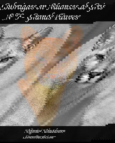 Coloriages en Nuances de Gris - N° 3 - Grands Fauves: 25 images de Grands Fauves toutes en nuances de gris à colorier