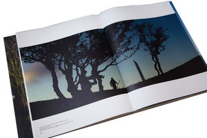 La moindre des choses et le silence: Charles Belle