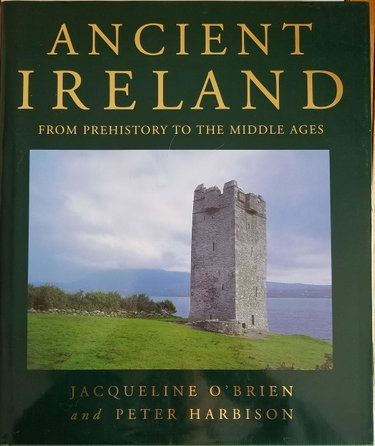 Couverture de Ancient Ireland: From Prehistory to the Middle Ages