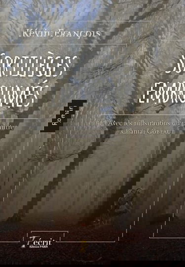 Sortilèges embrumés