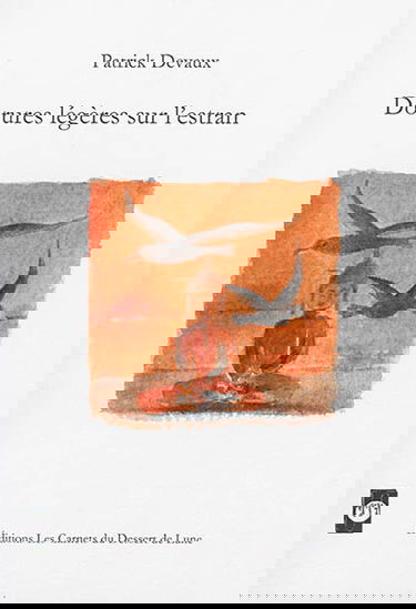 Dorures légères sur l'estran