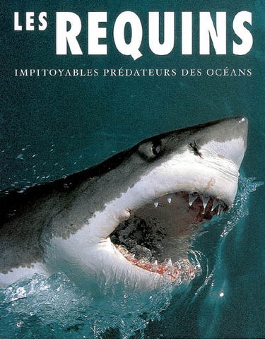Les requins : impitoyables prédateurs des océans