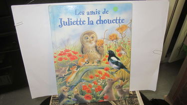 Les amis de Juliette la chouette