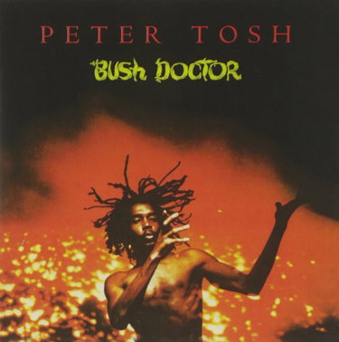 Couverture de Bush Doctor