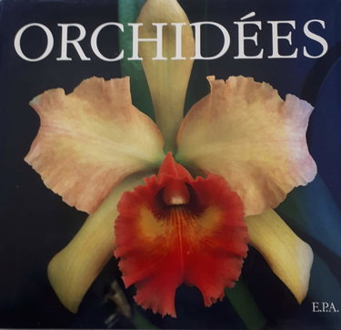 Couverture de Orchidées