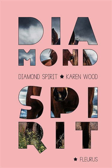 Diamond spirit. Vol. 1