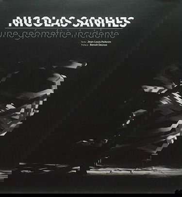 Nicolas Sanhes : une géométrie incidente