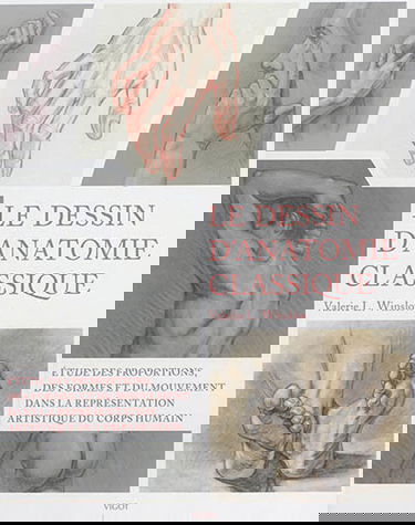 Le dessin d'anatomie classique : étude des proportions, des formes et du mouvement dans la représentation artistique du corps humain