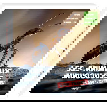 Les animaux minuscules de la terre