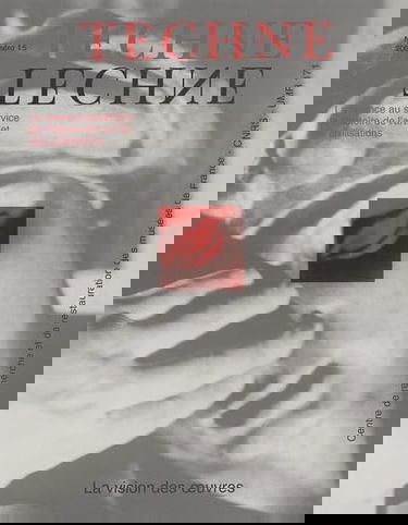 Techné, n° 15. Vision des oeuvres