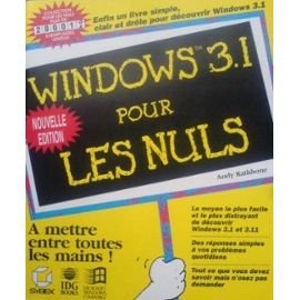 Windows 3.1 pour les nuls