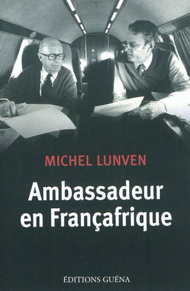 Ambassadeur en Françafrique