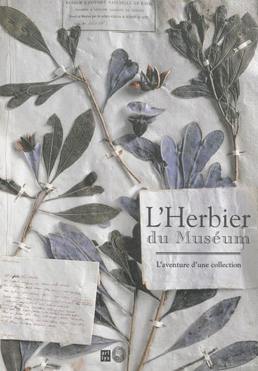 L'herbier du Muséum : l'aventure d'une collection