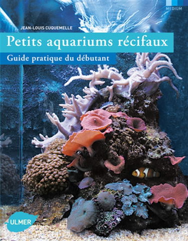 Petits aquariums récifaux : guide pratique du débutant