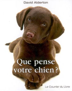 Que pense votre chien ? : comprendre le meilleur ami de l'homme