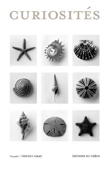 Curiosités des mers : étoiles de mer, patelles, astrées, turitelles, argonautes, oursins, balanes, ophiures, lys de mer, spirules...