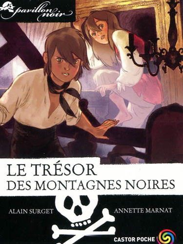 Pavillon noir. Vol. 11. Le trésor des montagnes noires