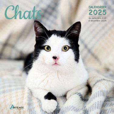 Couverture de Chats : calendrier 2025 : de septembre 2024 à décembre 2025 par Collectif