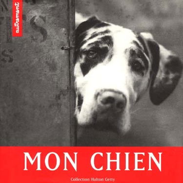 Mon chien : collection Hulton Getty