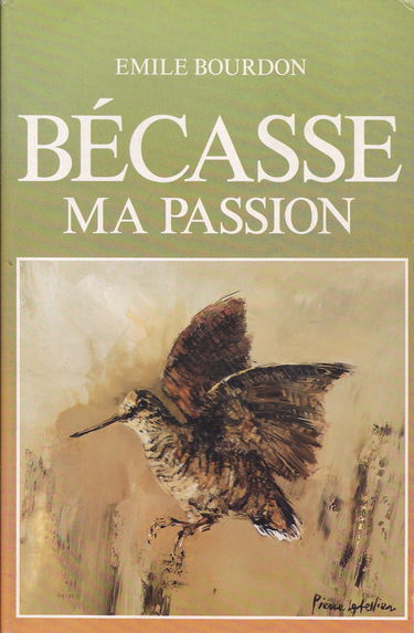 Bécasse, ma passion