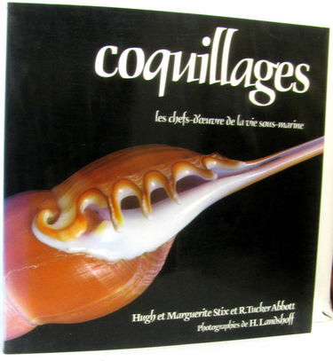 Coquillages