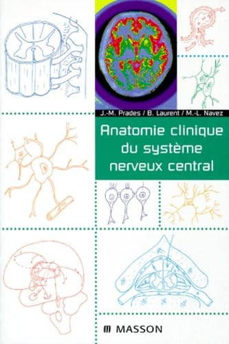Anatomie clinique du système nerveux central
