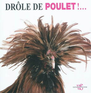 Drôle de poulet !...