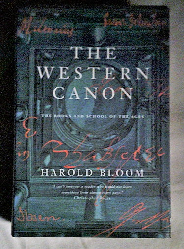 Couverture de The Western Canon