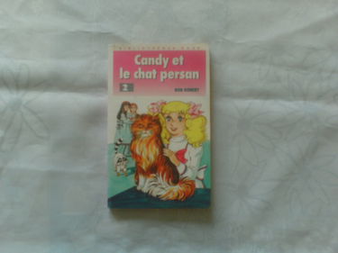 Candy et le chat persan