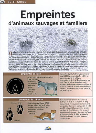 Empreintes d'animaux sauvages et familiers