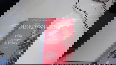 La Florentine. Vol. 4. Fiora et le roi de France