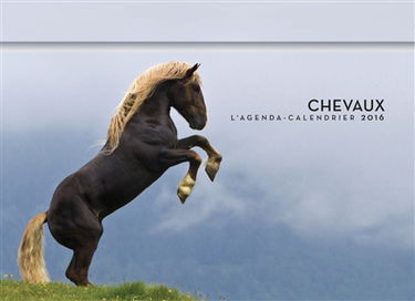 Chevaux : l'agenda-calendrier 2016