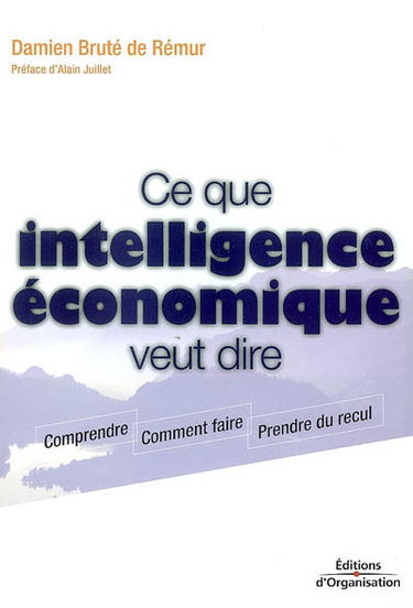 Ce que intelligence économique veut dire : comprendre, comment faire, prendre du recul