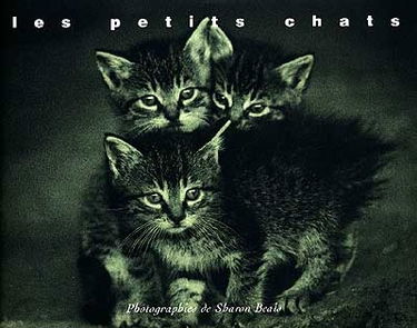 Les petits chats